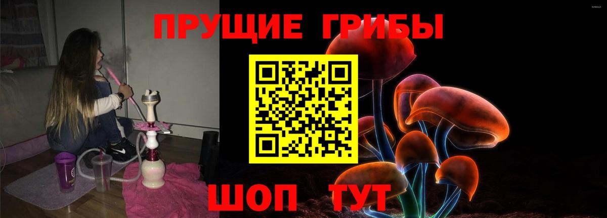Галлюциногенные грибы GOLDEN TEACHER  сколько стоит  Дивногорск  Вход с VPN 